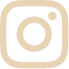 Icono Instagram